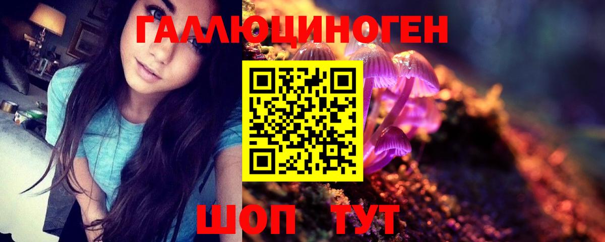 Галлюциногенные грибы прущие грибы Екатеринбург