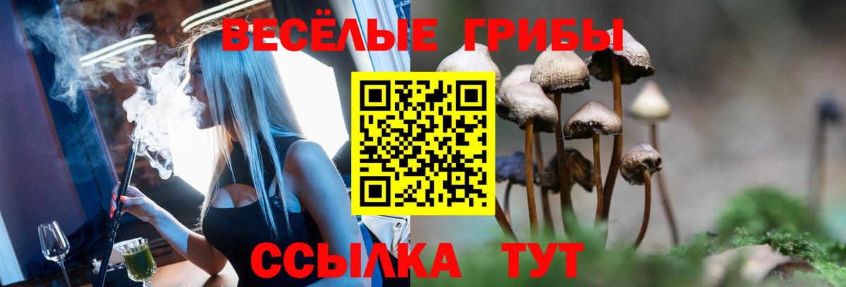Екатеринбург  Галлюциногенные грибы ЛСД  Вход с VPN 